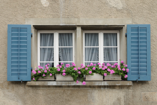 double hung windows