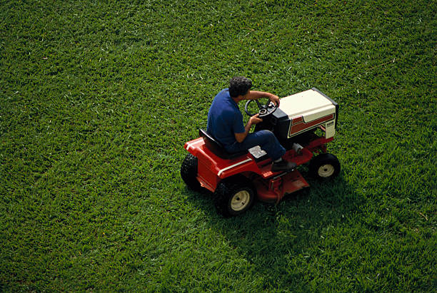 automatic lawn mower Whangarei